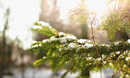 25 Ideas for a Healthy and Peaceful Christmas Celebration