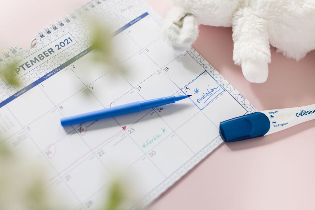 Boosting Fertility Naturally: 6 Tips and Techniques